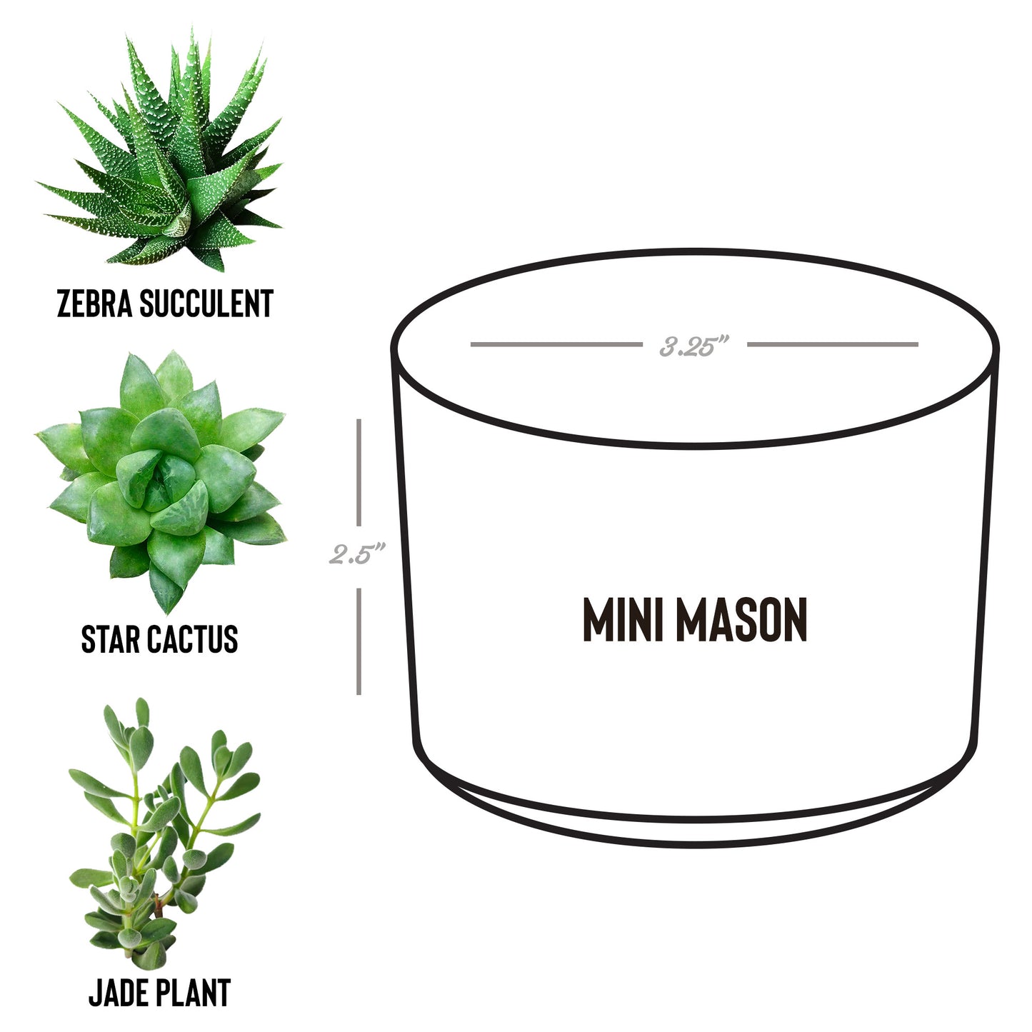 It takes a village gift helper thank you plant custom name appreciation gift for Nanny, Grandparents thank you