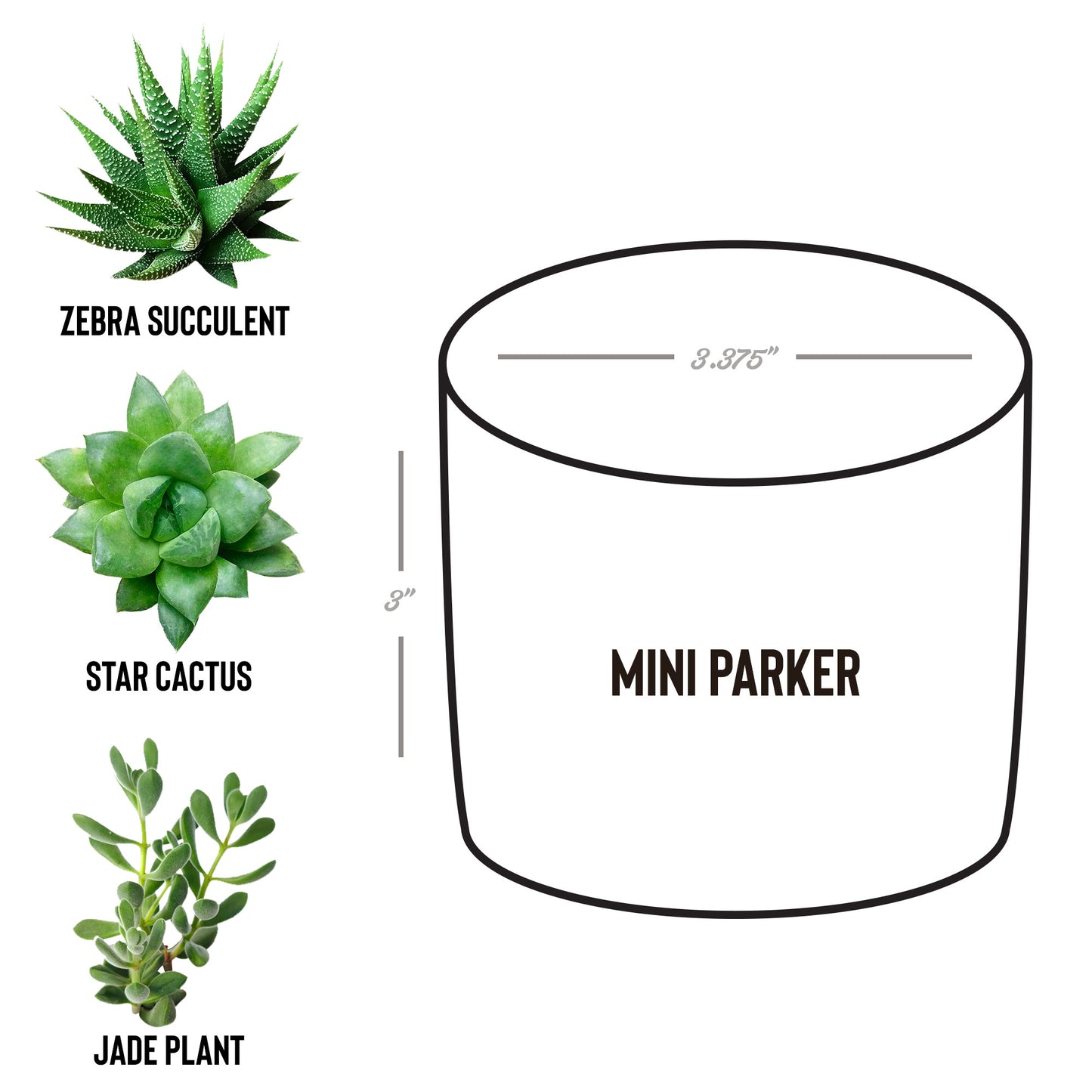 It takes a village gift helper thank you plant custom name appreciation gift for Nanny, Grandparents thank you