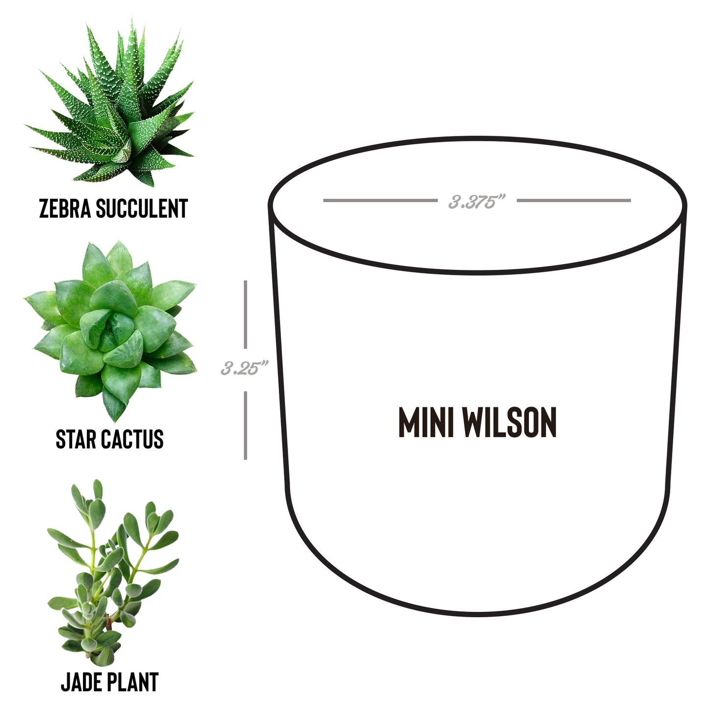 It takes a village gift helper thank you plant custom name appreciation gift for Nanny, Grandparents thank you